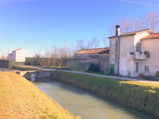 immagine annuncio 4 di 7