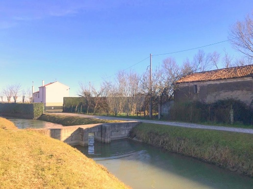 immagine annuncio 5 di 7