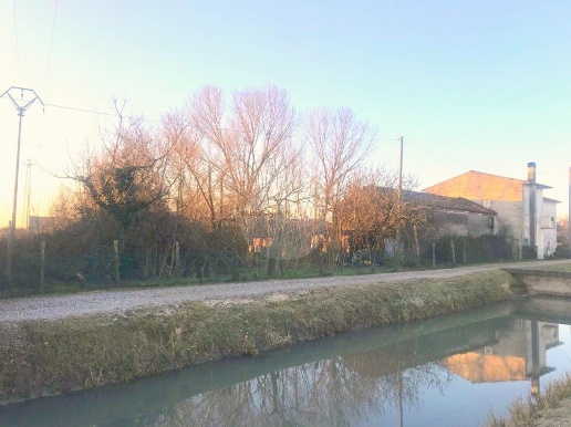 immagine annuncio 6 di 7
