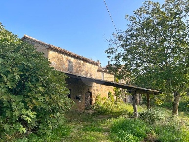 Foto Rustico in civitella d'agliano, Montefiascone di 432 m² in vendita