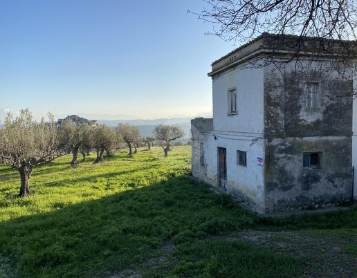 immagine annuncio 8 di 14