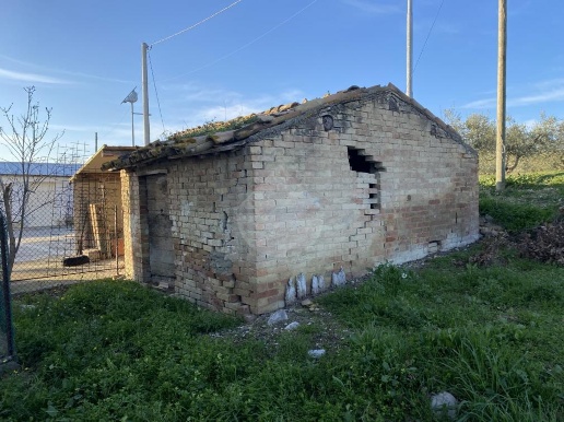 immagine annuncio 11 di 14