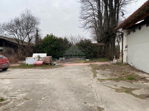 immagine annuncio 5 di 8