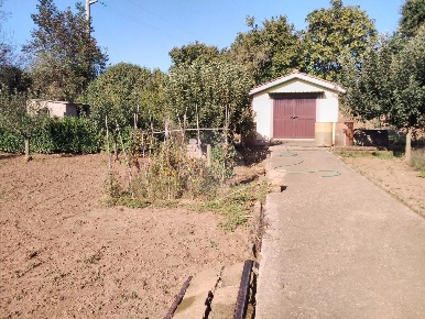 Foto Rustico in via san vincenzo, Bassano Romano di 25 m² con 1 locali