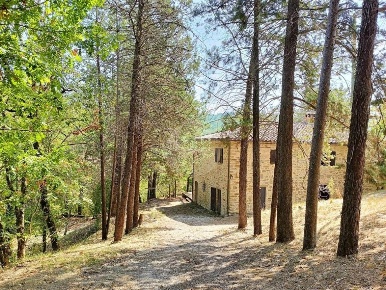 Foto Rustico in LocalitÃ  polgeto, Umbertide Centro di 290 m² in vendita