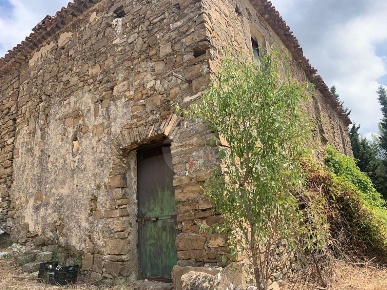 Foto Rustico in Contrada Maddalena, Ogliastro Cilento di 12000 m²