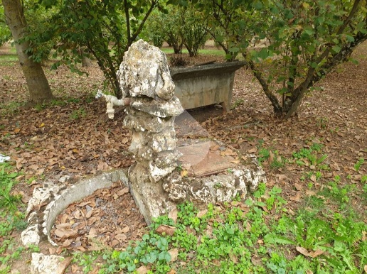 immagine annuncio 4 di 6