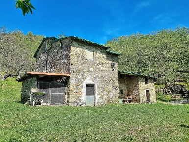 Foto Rustico in delle croci, Marliana di 250 m² con 10 locali in vendita