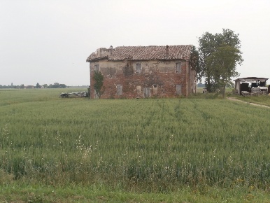 Foto Rustico a Medicina di 360 m² con 8 locali in vendita
