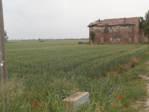 immagine annuncio 3 di 4