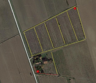 Foto Rustico Stienta di 1250 m² con 19 locali in vendita