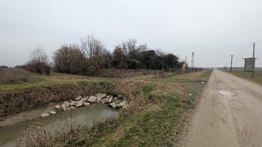immagine annuncio 1 di 12