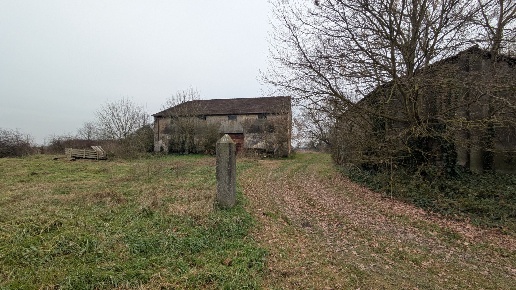 immagine annuncio 2 di 12