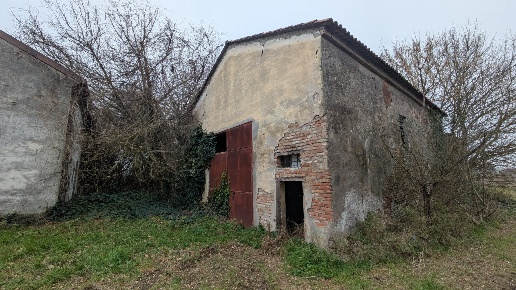 immagine annuncio 4 di 12