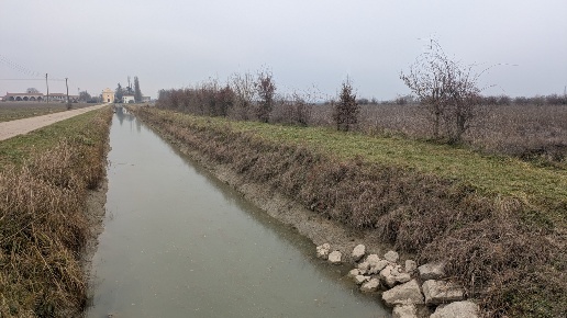 immagine annuncio 9 di 12