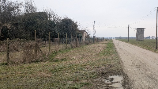 immagine annuncio 10 di 12