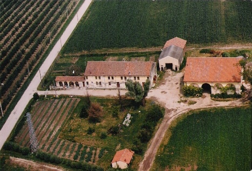 immagine annuncio 11 di 12