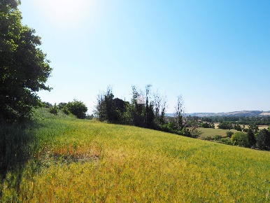 Foto Rustico a Corridonia Castellano di 130 m² con 5 locali in vendita