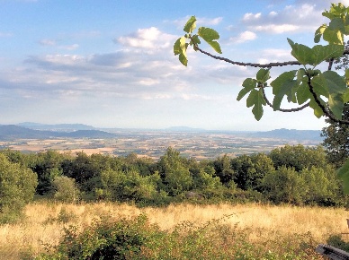 Foto Rustico in le coste, Roccastrada di 235 m² con 10 locali in vendita