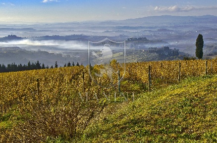 Foto Rustico a Certaldo di 5493 m² con 50 locali in vendita