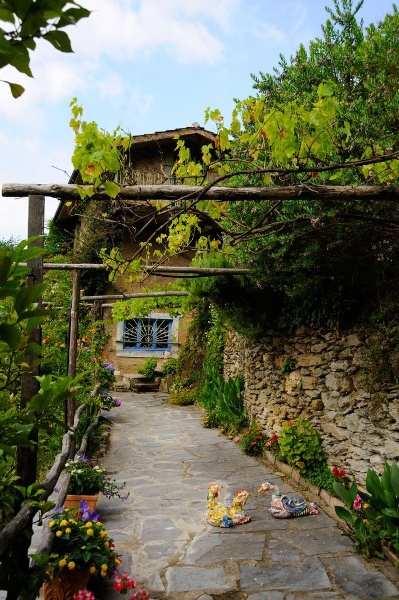 immagine annuncio 7 di 15
