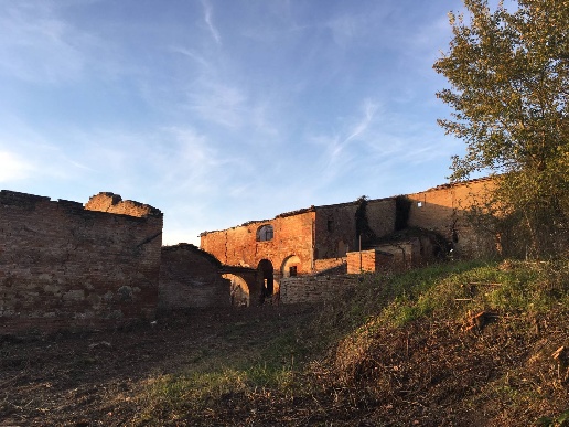 immagine annuncio 3 di 13