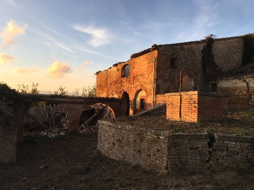 immagine annuncio 7 di 13