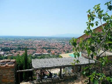 Foto Rustico a Monsummano Terme Centro di 180 m² con 10 locali in vendita