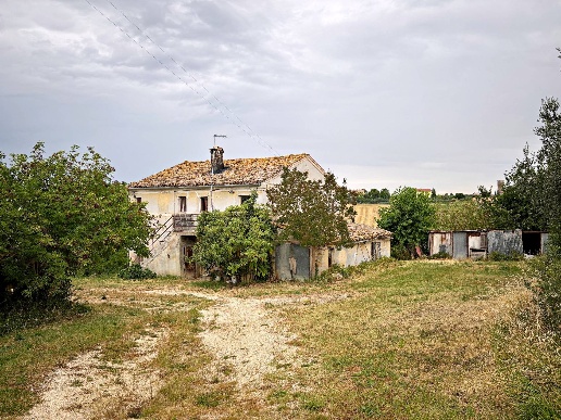 immagine annuncio 2 di 7