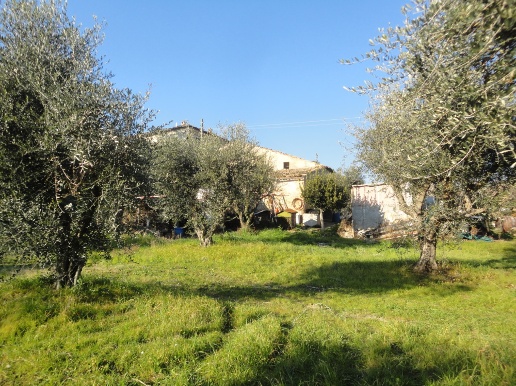 immagine annuncio 8 di 13