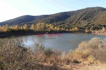 Foto Rustico a Castiglione della Pescaia Castiglione Paese di 900 m²