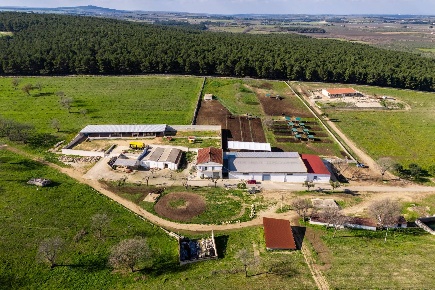 Foto Rustico in Contrada Cicivizzo, Corato di 2800 m² con 20 locali