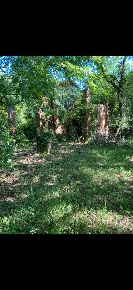 Foto Rustico in Via di Vallese, Castelfiorentino di 180 m² con 8 locali