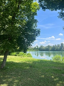 Foto Rustico in Strada dell'Asino, Carignano Centro di 150 m² con 10 locali