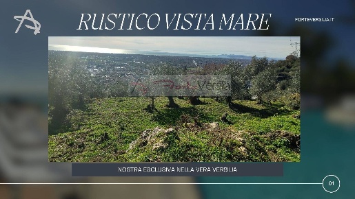 Foto Rustico a Pietrasanta di 115 m² con 3 locali in vendita