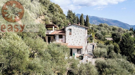 Foto Rustico in via di montebello, Camaiore Camaiore Paese di 300 m²