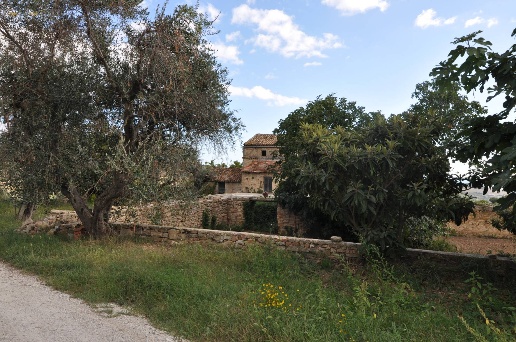 immagine annuncio 8 di 14