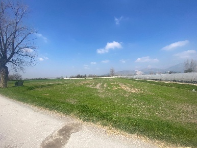 Foto Rustico a Marigliano di 3850 m² in vendita