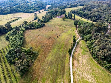 Foto Rustico in Via Casolari Superiori, Montaldo Roero Centro di 424 m²