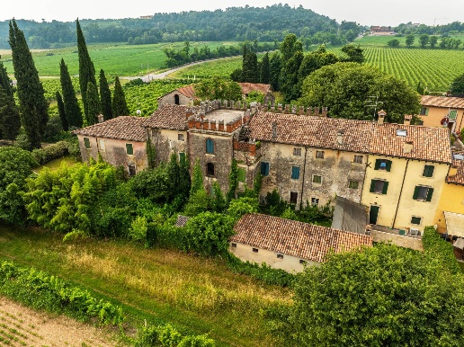 immagine annuncio 9 di 15