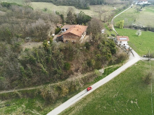 immagine annuncio 5 di 12