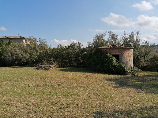 immagine annuncio 3 di 12