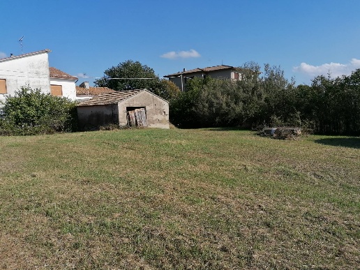 immagine annuncio 4 di 12