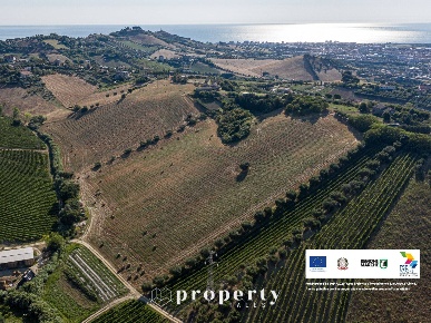 Foto Rustico in Contrada San Donato, Monteprandone di 1130 m² con 20 locali