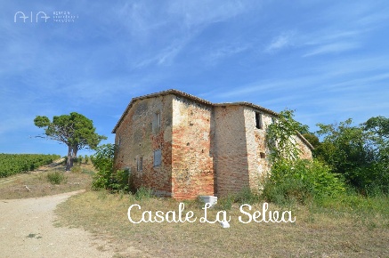 Foto Rustico in Contrada Palazzi, Spinetoli di 553 m² con 20 locali