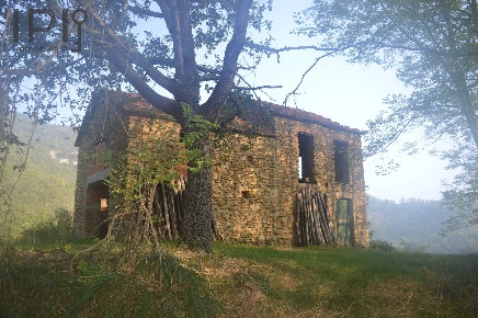 Foto Rustico in montechiaro alto, Montechiaro d'Acqui di 60 m² con 3 locali