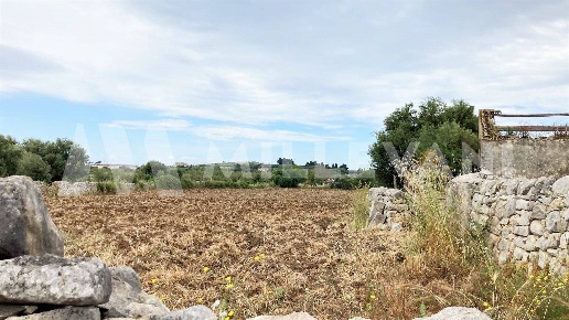 immagine annuncio 4 di 6