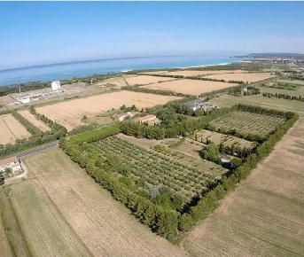 Foto Rustico in Vada, Rosignano Marittimo Vada di 715 m² con 17 locali