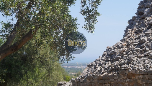 Foto Rustico in contrada salamina, Fasano Fasano Paese di 40 m² in vendita