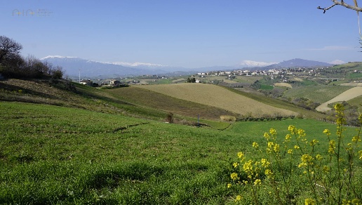 immagine annuncio 9 di 11